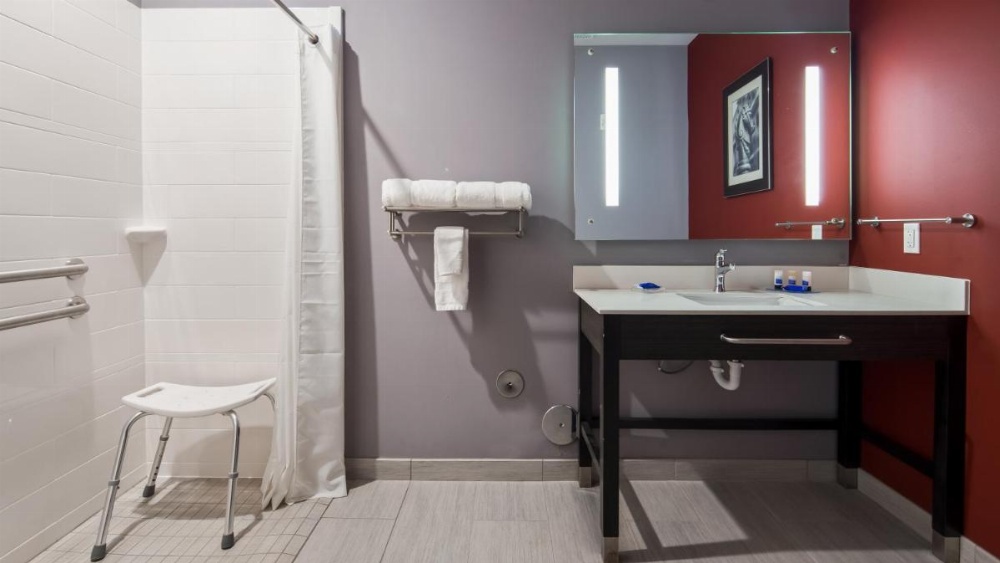 King Room with Roll-In Shower - Disability Access